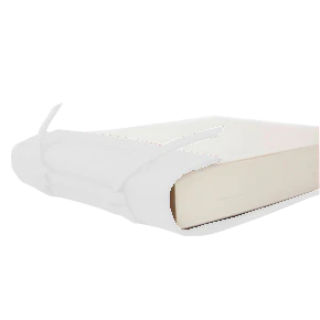 King's Pad - Image 58